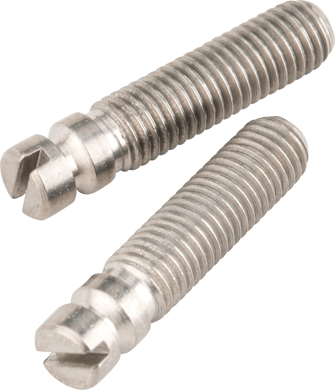 Bridge Pivot Screws (2)