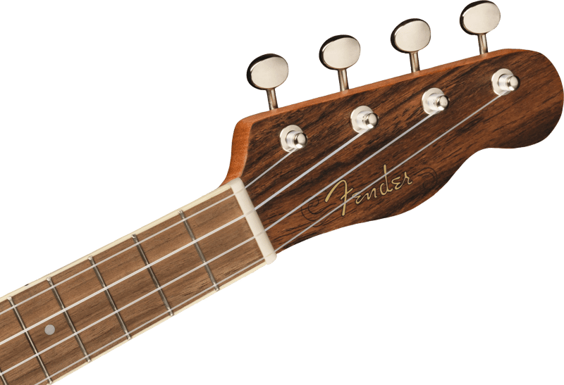 Zuma Exotic Concert Ukulele – Fender