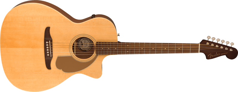 Newporter™ Player – Fender