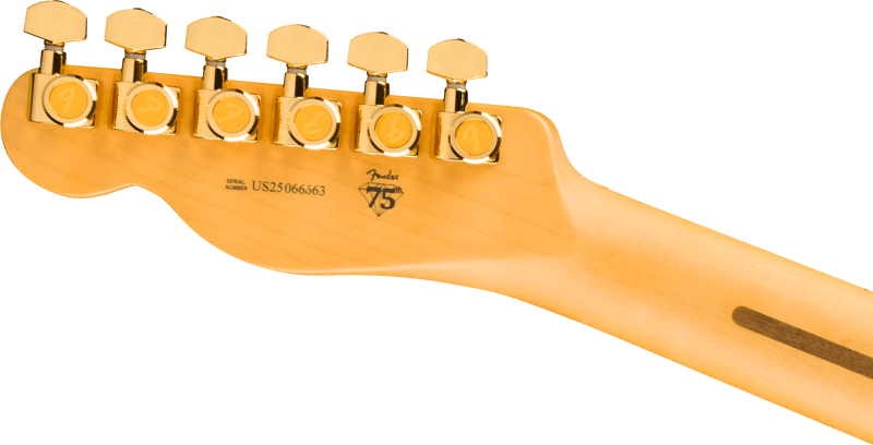 75th Anniversary American Professional II Custom Telecaster® – Fender