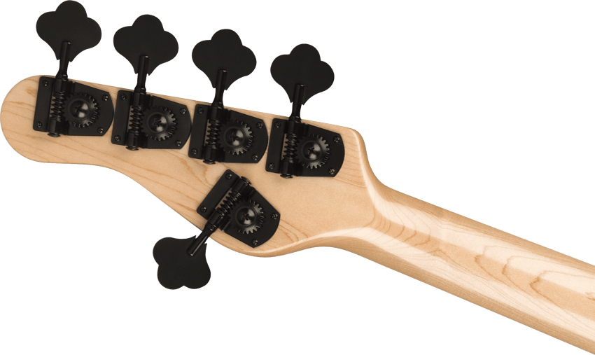 Pro Series Signature Adam Blackstone, Gladys Jackson Concert™ Bass