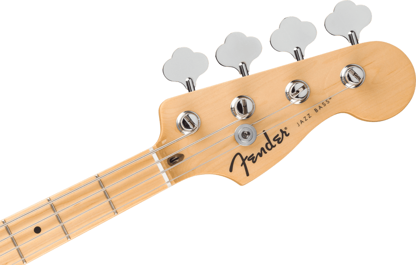 Standard Jazz Bass® – Fender
