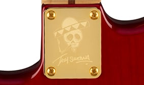 Tash Sultana Stratocaster® ENGRAVED NECKPLATE