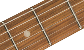 Player Plus Telecaster® 12” RADIUS FINGERBOARD WITH ROLLED EDGES