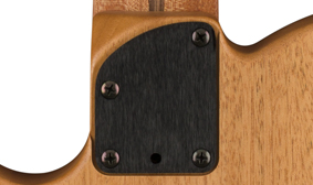 Limited Edition Acoustasonic® Player Telecaster®, Sea Foam Green Made in Kalifornien