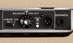 Tone Master® Twin Reverb® Blonde REAR PANEL FEATURES