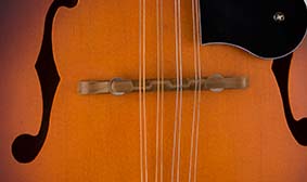 PM-180E Mandolin FISHMAN PICKUP SYSTEM