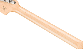 Paranormal Esquire® Deluxe GLOSS NECK FINISH