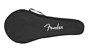 PM-180E Mandolin Gig Bag