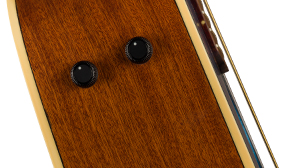 Redondo™ Player Fishman Preamp System