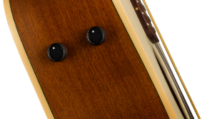Malibu™ Player Fishman Preamp System