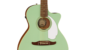 Newporter™ Player Walnut Fingerboard and Bridge