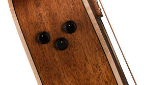Malibu™ Special Fishman Preamp System