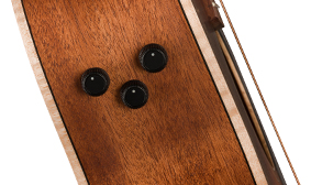 Newporter™ Special Fishman Preamp System