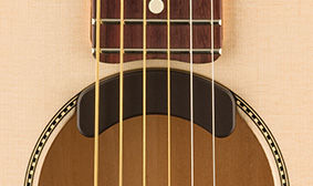 Highway Series™ Dreadnought Fishman Fluence Acoustic Electronics