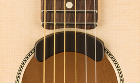 Highway Series™ Parlor Fishman Fluence Acoustic Electronics