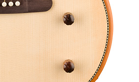 Highway Series™ Parlor Multi-Voice Control