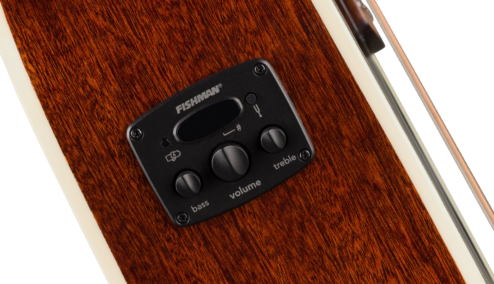 California Deluxe Villager™ E FISHMAN® CD-1 ELECTRONICS