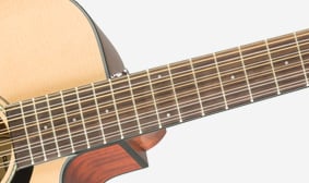 CD-60SCE Dreadnought 12-String EASY-TO-PLAY NECK