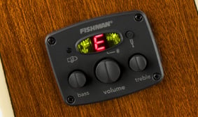 FA-450CE Bass FISHMAN ELECTRONICS