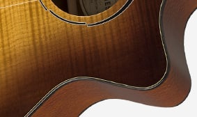 FA-345CE Auditorium TORTOISESHELL BINDING