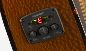 FA-345CE Auditorium FISHMAN® ELECTRONICS