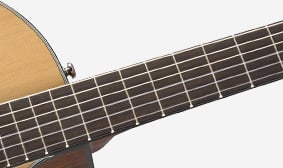 CN-140SCE Easy-to-Play Neck