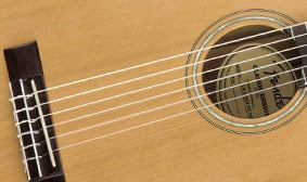 CN-140SCE Nylon Strings