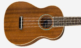 Zuma Concert Ukulele Concert Body