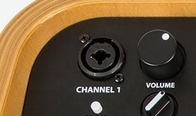 Acoustic Pro XLR AND ¼