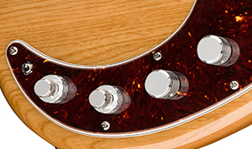American Ultra Precision Bass® REDESIGNED ACTIVE/PASSIVE PREAMP