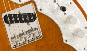 经典氛围 60 年代 Telecaster® Thinline NICKEL-PLATED HARDWARE