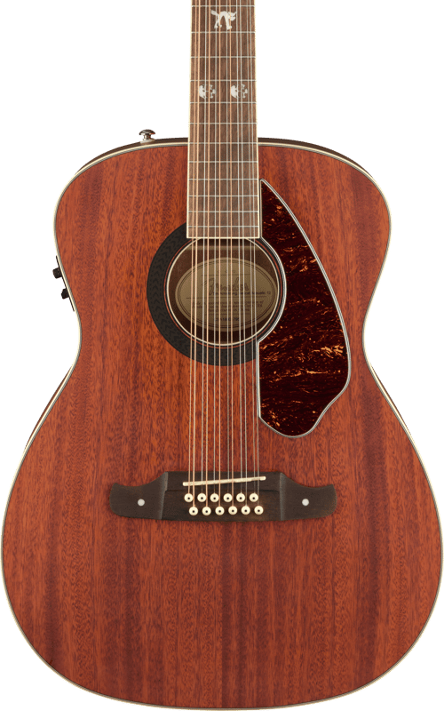 Tim Armstrong Hellcat-12 String – Fender