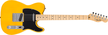 3/23まで】Fender Standard Series テレキャスター