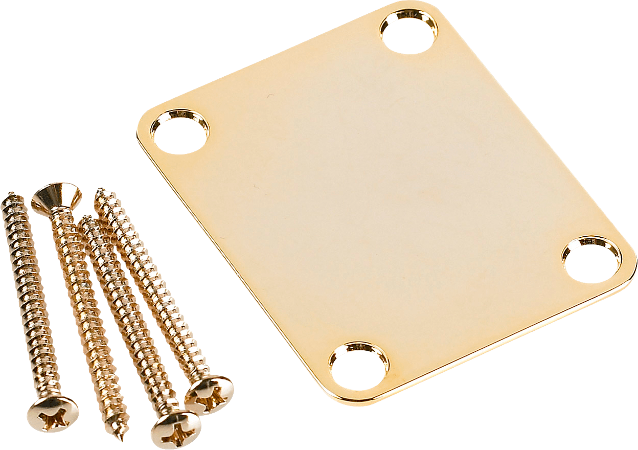 4-Bolt Vintage-Style Neck Plate (No Logo)